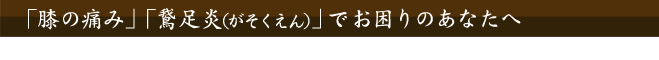 恵比寿で整体をお探しのあなたへ